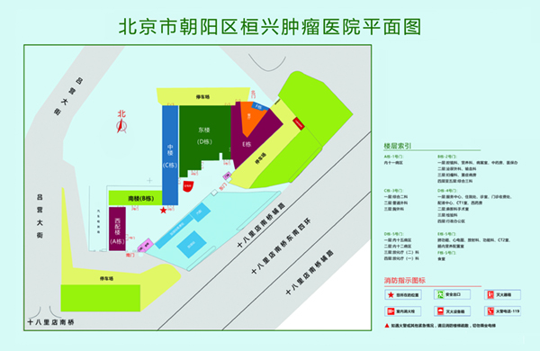 免费大鸡巴操女人北京市朝阳区桓兴肿瘤医院平面图